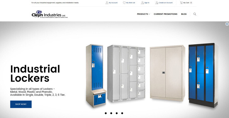 magento ecommerce development